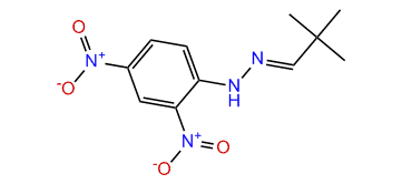 2,2-Dimethylpropanal (2,4-dinitrophenyl)-hydrazone